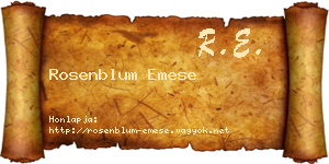 Rosenblum Emese névjegykártya